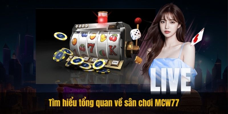 Tìm hiểu tổng quan về sân chơi MCW77